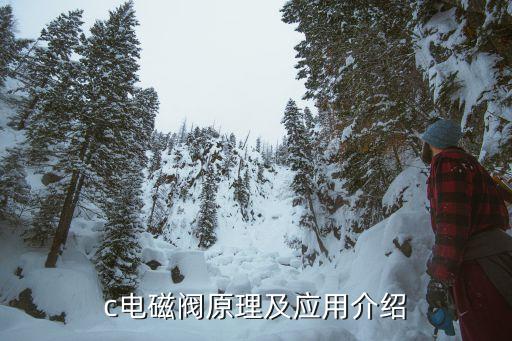 smc調(diào)速閥技術(shù)參數(shù),調(diào)速閥型號參數(shù)...